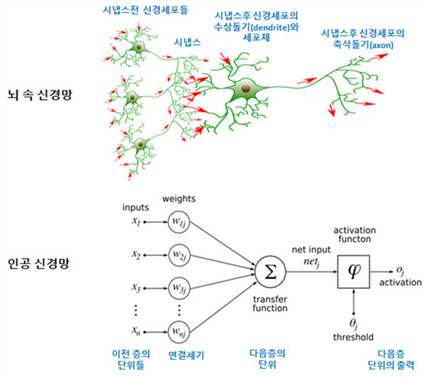 Study image
