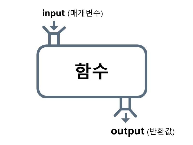 Study image