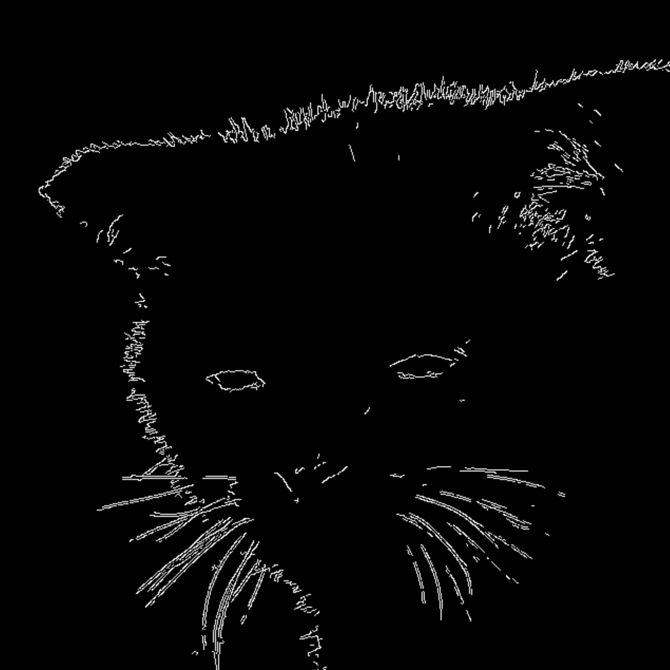 Study image